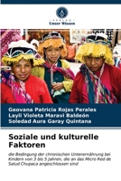Soziale und kulturelle Faktoren: die Bedingung der chronischen Unterernährung bei Kindern von 3 bis 5 Jahren, die an das Micro Red de Salud Chupaca angeschlossen sind 620367818X Book Cover