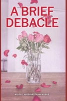 A Brief Debacle/A Bit of a Pickle B086FRR8KC Book Cover