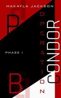 Project Blackwell Operation Condor B0GZQZ5ZL4 Book Cover