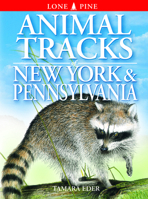 Animal Tracks of New York & Pennsylvania (Animal Tracks Guides) 155105311X Book Cover