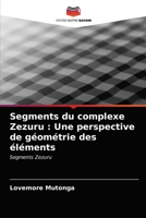 Segments du complexe Zezuru: Une perspective de géométrie des éléments 6203172189 Book Cover