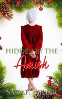 Hidden by the Amish: Amish Christmas Romance 173097127X Book Cover