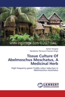 Tissue Culture Of Abelmoschus Moschatus, A Medicinal Herb: High frequency green friable callus induction in Abelmoschus moschatus 3659115975 Book Cover