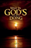 What In God's Name Are We Doing? B0GSH9G45S Book Cover