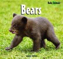 Bears (Baby Animals) 1404237704 Book Cover