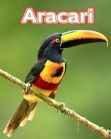 Aracari: Fun Facts Book For Kids B0C1HXZRHM Book Cover