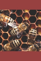 THE BEEKEEPER LADY: MEMOIR OF MARTHA PEMBERTON† A.K.A. "MATT KING" 1697597017 Book Cover