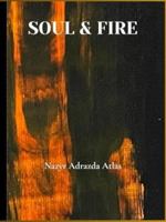 SOUL & FIRE B0GW8GJ56X Book Cover