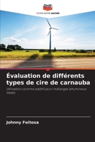 Évaluation de différents types de cire de carnauba: Utilisation comme additif pour mélanges bitumineux tièdes (French Edition) 6206824926 Book Cover