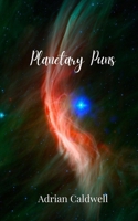 Planetary Puns 1805679953 Book Cover