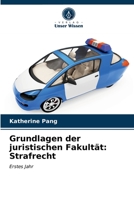 Grundlagen der juristischen Fakultät: Strafrecht: Erstes Jahr 6202780886 Book Cover