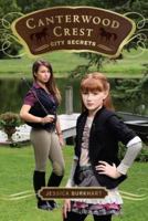 City Secrets 1442403802 Book Cover