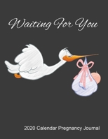 Waiting For You 2020 Calendar Pregnancy Journal: Expecting Baby Notebook Diary Gift For Pregnant Mothers 2020 Weekly Calendar, Top Priorities, Accomplishments Tracker and Notes 1708470859 Book Cover