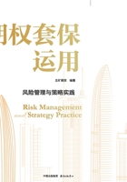 Options Hedging Applications: Risk Management and Strategy in Practice/??????:????????? (Chinese Edition) 7547327087 Book Cover