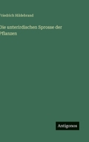 Die unterirdischen Sprosse der Pflanzen 3368234455 Book Cover
