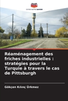 Réaménagement des friches industrielles: stratégies pour la Turquie à travers le cas de Pittsburgh 6209600468 Book Cover