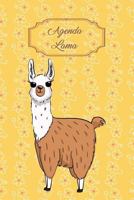 Agenda Lama: Agenda perpétuel avec couverture et intérieur Lama - 56 semaines avec des pages supplémentaires à découvrir (15 x 23 cm) (Mon Agenda Perpétuel) 1790646669 Book Cover