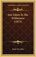 Sun Glints In The Wilderness 1164889826 Book Cover