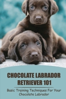Chocolate Labrador Retriever 101: Basic Training Techniques For Your Chocolate Labrador: Labrador Training B09BYBFPGX Book Cover