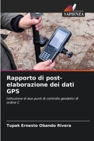 Rapporto di post-elaborazione dei dati GPS (Italian Edition) 6207426207 Book Cover