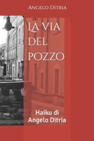 La via del pozzo: Haiku di Angelo Ditria B0BJHF35YW Book Cover
