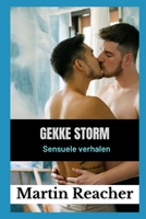 gekke storm: Sensuele verhalen B09YMKBT65 Book Cover