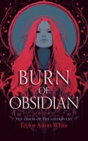 Burn of Obsidian: A Dark Paranormal Romance (Curse of the Guardians) 1036713121 Book Cover