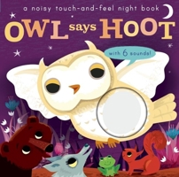 Noisy Touch and Feel: Owl Says Hoot 1626865760 Book Cover