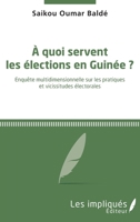 A quoi servent les élections en Guinée ?: Enquête multidimensionnelle sur les pratiques et vicissitudes électorales (French Edition) 234324085X Book Cover
