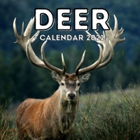 Deer Calendar 2021: 16-Month Calendar, Cute Gift Idea For Deer Lovers Women & Men B0943MY6ZZ Book Cover