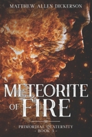 Meteorite of Fire: Primordial Quaternity: Book 3 B0BQ99KDJV Book Cover
