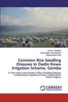 Common Rice Seedling Diseases in Dadin Kowa Irrigation Scheme, Gombe 6202198796 Book Cover