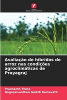 Avaliação de híbridos de arroz nas condições agroclimáticas de Prayagraj (Portuguese Edition) 6207186958 Book Cover