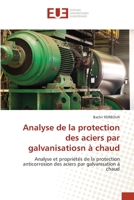 Analyse de la protection des aciers par galvanisatiosn à chaud 6203433055 Book Cover