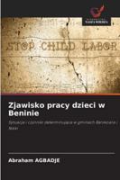 Zjawisko pracy dzieci w Beninie 6209272991 Book Cover