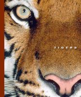 Tigers (The World of Mammals) 1592964982 Book Cover