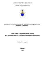 Leptospirosis, una zoonosis reemergente: aspectos microbiológicos, clínicos, bioquímicos y diagnóstico 1537736175 Book Cover