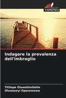 Indagare la prevalenza dell'imbroglio 6204103989 Book Cover