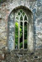 Window with Stone Arch at Muckross Ruin in Ireland Journal: 150 page lined notebook/diary 1717314503 Book Cover