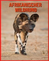 Afrikanischer Wildhund: Kinderbuch Erstaunliche Fakten & Bilder über Afrikanischer Wildhund B08WK8H7VT Book Cover