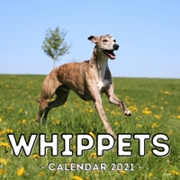 Whippets Calendar 2021: 16-Month Calendar, Cute Gift Idea For Whippet Lovers Women & Men B096LS1QHS Book Cover