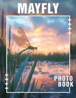 Mayfly Photo Book: Stunning Photography Capturing The Lifecycle Of Beautiful Insects And Nature's Wonders B0DQ637FTL Book Cover