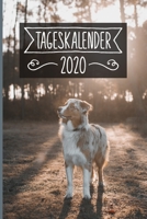 Tageskalender 2020: Terminkalender ca DIN A5 weiß über 370 Seiten I 1 Tag eine Seite I Jahreskalender I Australian Shepherd I Hunde 1702074536 Book Cover