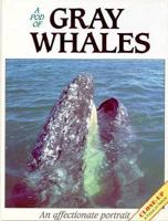 A Pod of Gray Whales: An Affectionate Portrait (Close Up) 0918303141 Book Cover