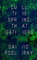 Cull the Spring That Gathers B0B8R6RHD5 Book Cover