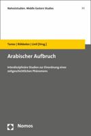 Arabischer Aufbruch: Interdisziplinare Studien Zur Einordnung Eines Zeitgeschichtlichen Phanomens 3848713861 Book Cover