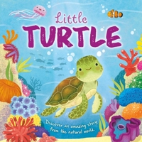 Nature Stories: Little Turtle: Padded Board Book 1803684135 Book Cover