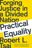 Practical Equality: Forging Justice in a Divided Nation 0393358550 Book Cover