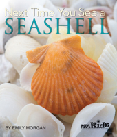 Next Time You See a Seashell 1936959151 Book Cover