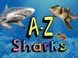 A-Z of Sharks - The Alphabet of the Shark World 1782745238 Book Cover